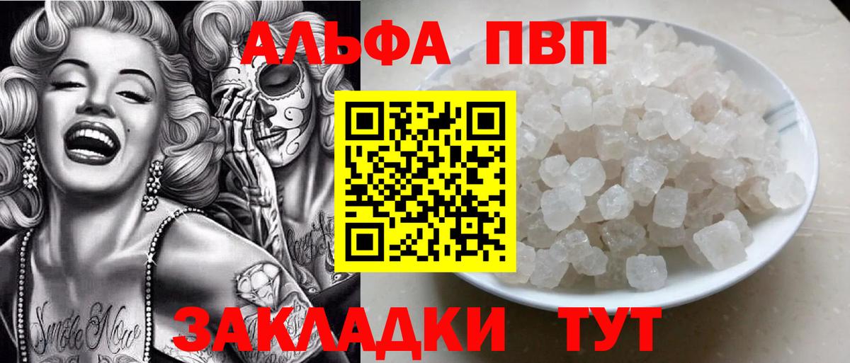 Alfa_PVP СК Прокопьевск